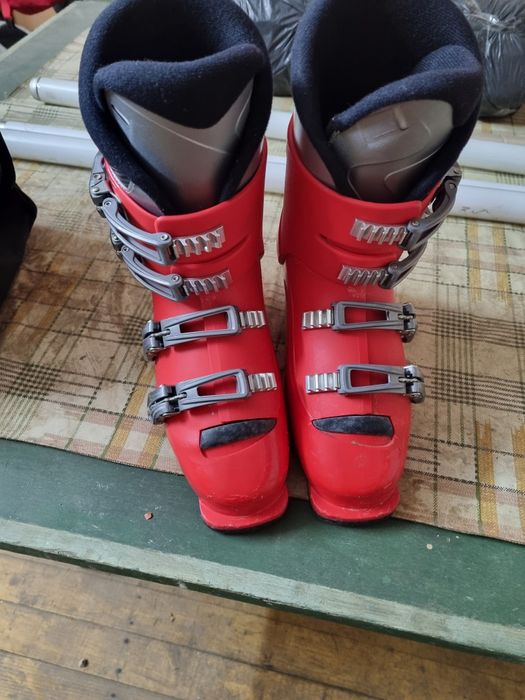 Vând clapari Salomon