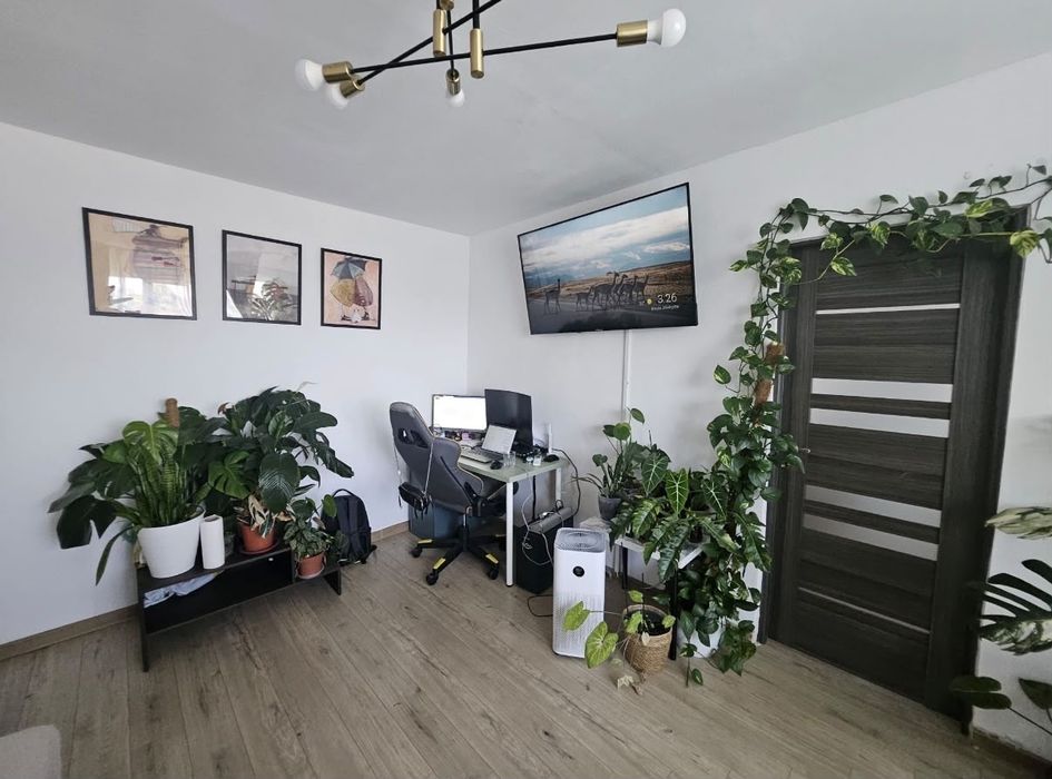 Apartament zona Circumvalatiunii