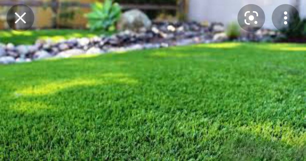 Gazon ekamz sifat va ishonch