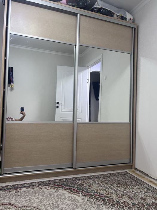 Шкаф купе с дверьями