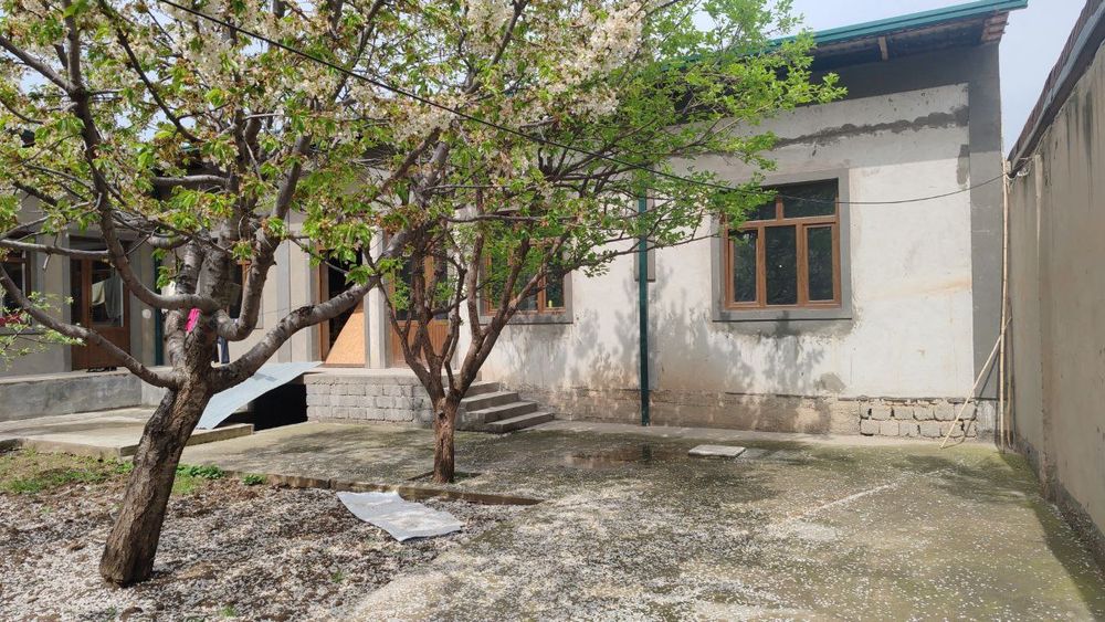 Hovli sotiladi 6 sotix