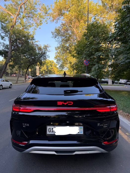 Byd champion smart