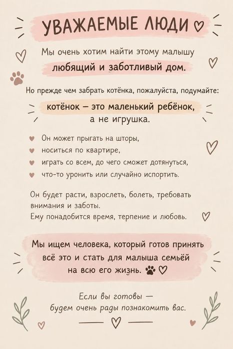 Котёнок, 1.5 месяца, в добрые руки