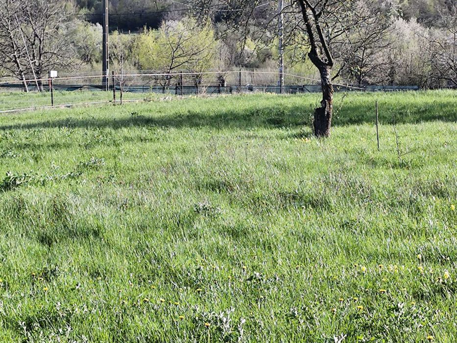 Teren intravilan in Crăcăoani, judetul Neamț