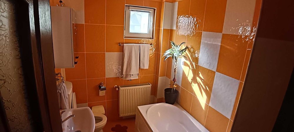 Vand casa la munte
