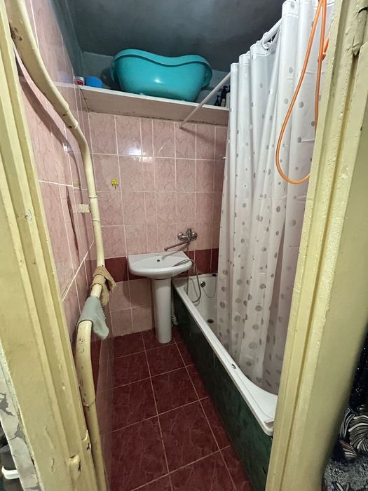 Зх комнатная Михаэлиса