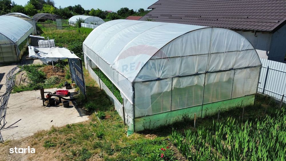 Proprietate 2.229 mp cu Dotări pentru Afacere Florală