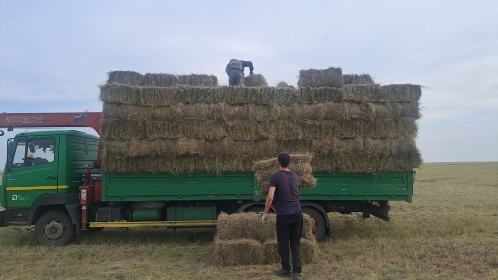 Продам сено свежии покос
