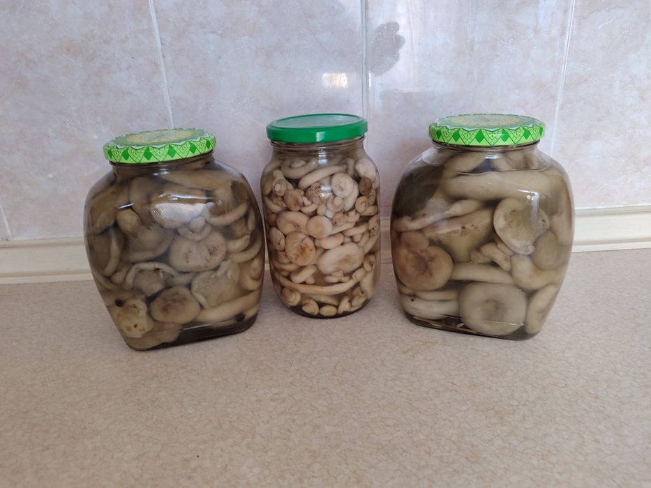 Грузди соленые. Заготовки  2025г