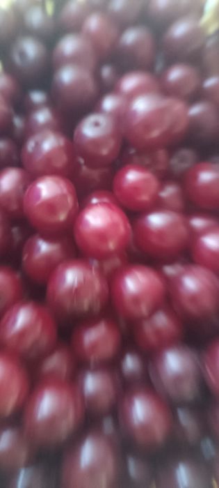 Продукты питания