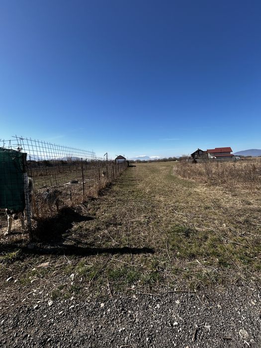 Teren de vanzare Drumul cu Plopi Sanpetru