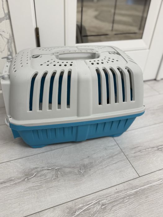 Scottish strait mushuk sotiladi.