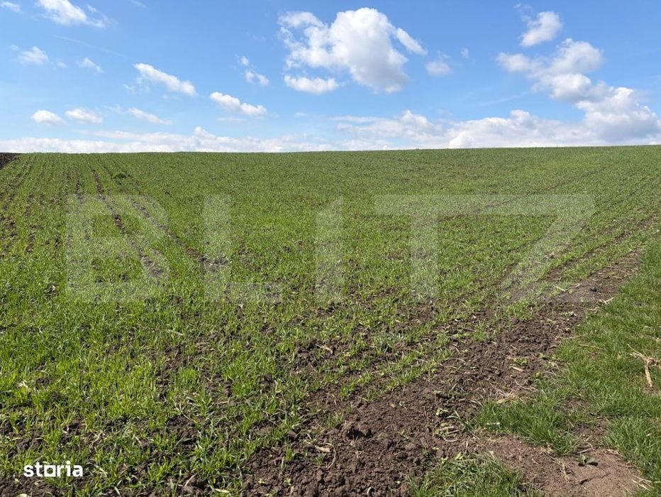 Teren extravilan, 3900 mp, zona Cumparatura