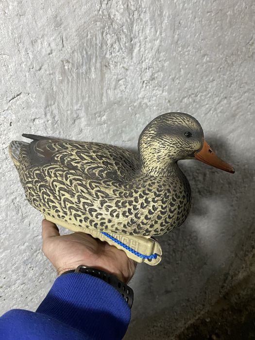 Продам чучела уток.