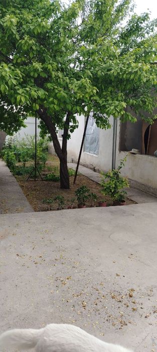 Дом прадаётся Ким пен хва