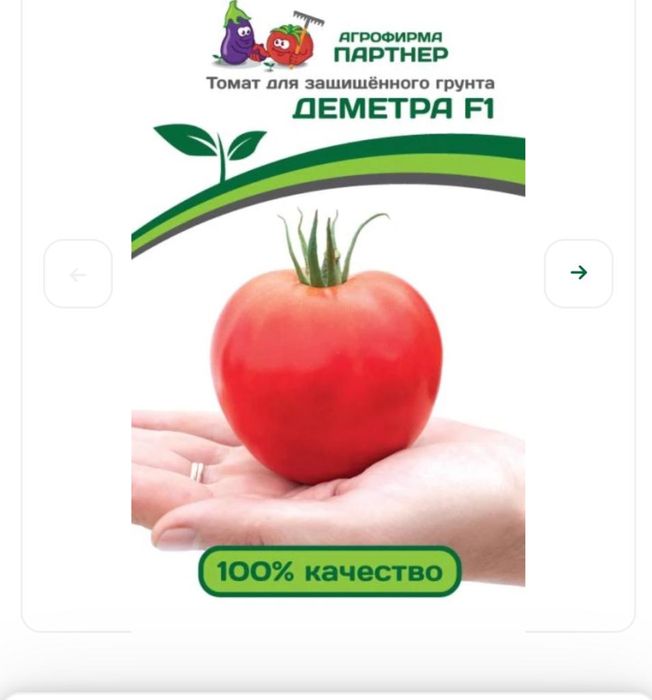 Продам рассаду помидоры джекпот