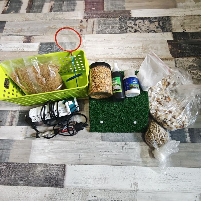 Продам всё для черепах