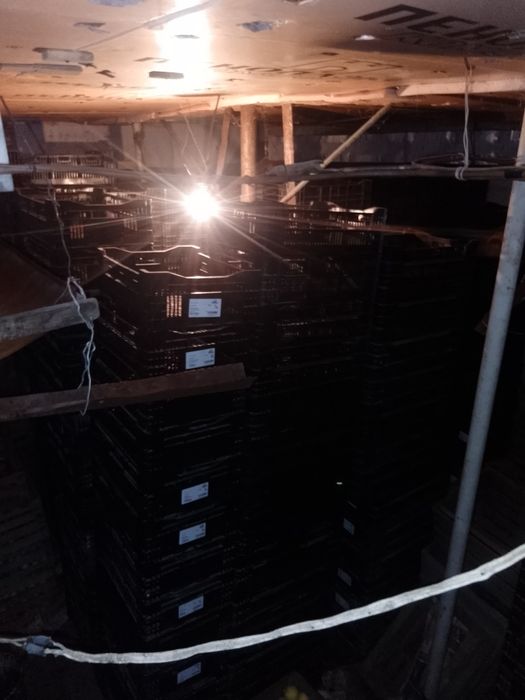 Ящики для фруктов овощей