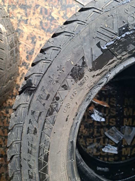 Caucucuri iarna  ceuri