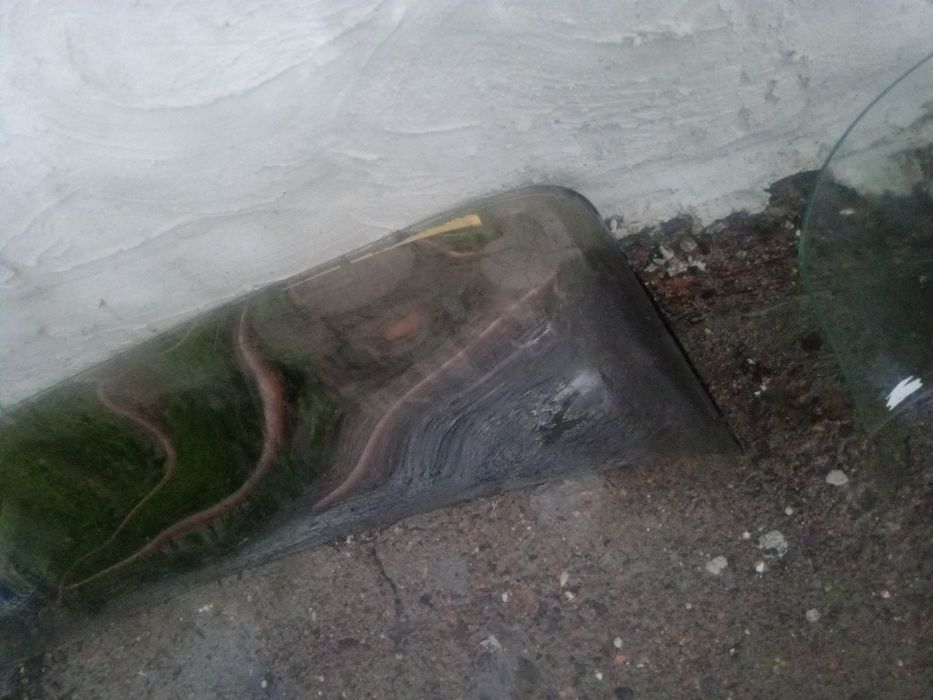 Лабавой стекло для джугулиги