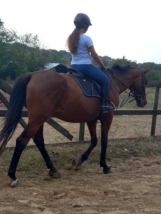 Vand iapa de echitatie