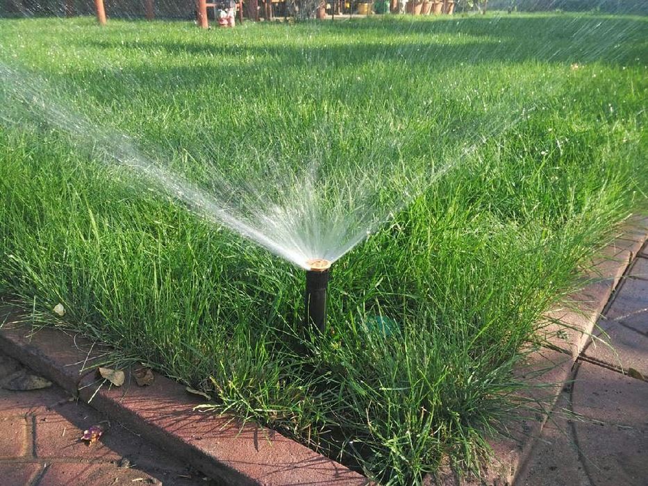 Акция рулонный газон по супер цене.