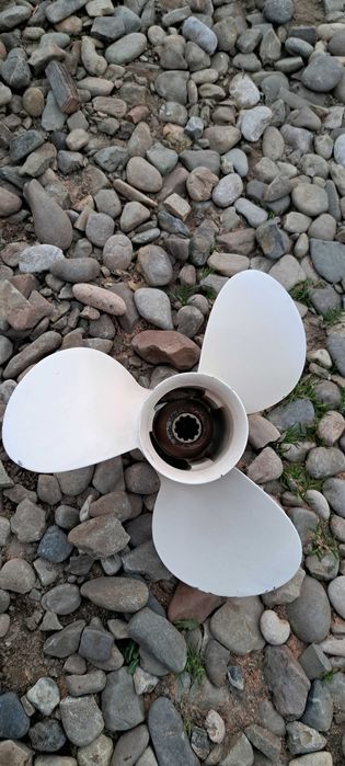 Elice yamaha 10 caneluru