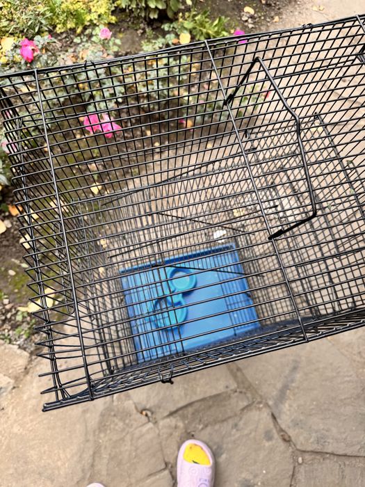 Клетка для грызунов и птиц