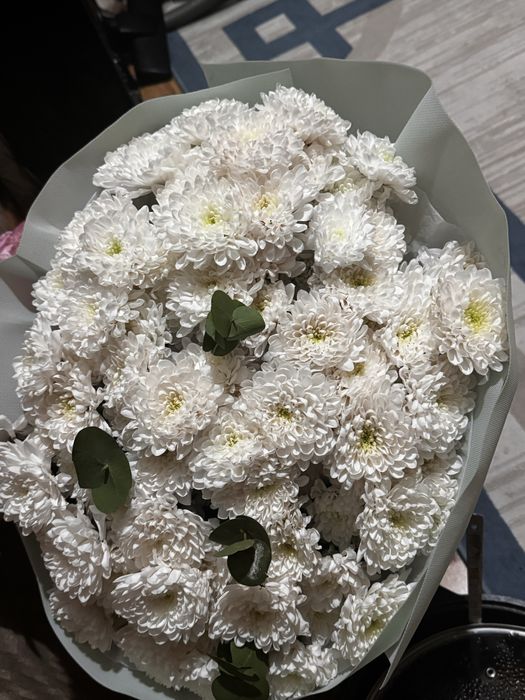 Цветы белые розыве 2 шт екі гүл сатылады срочно тез арада келисим баар