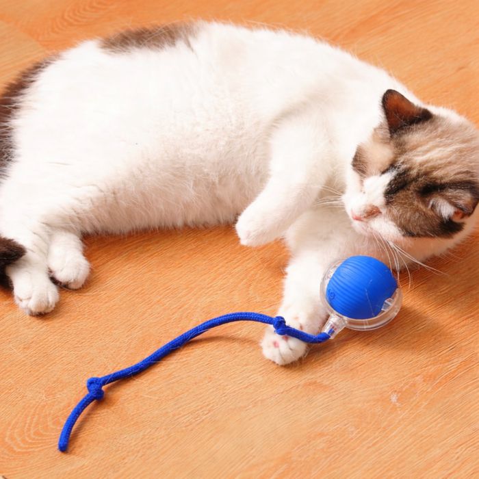 Игрушка для котов
