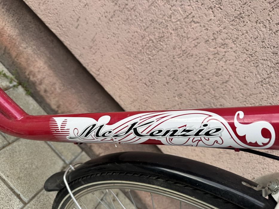 Bicicleta de dama