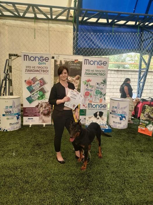 Кинолог, зоопсихолог