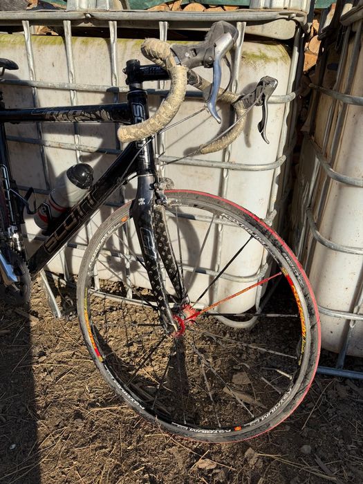 Bicicleta de sosea Cipollini