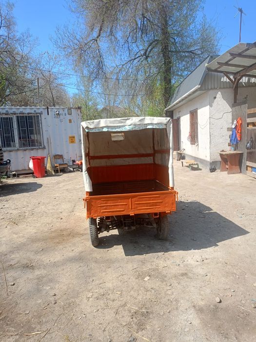 Муравей  в хорошем состоянии