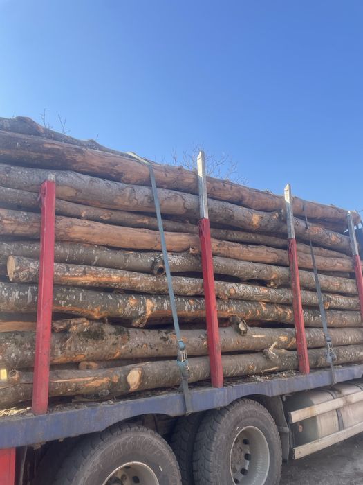 Lemne de foc de cea mai bună calitate