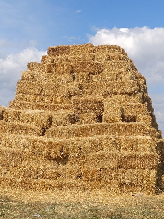 Продам ячменную солому