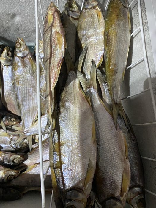 Рыбец выленый малосольный