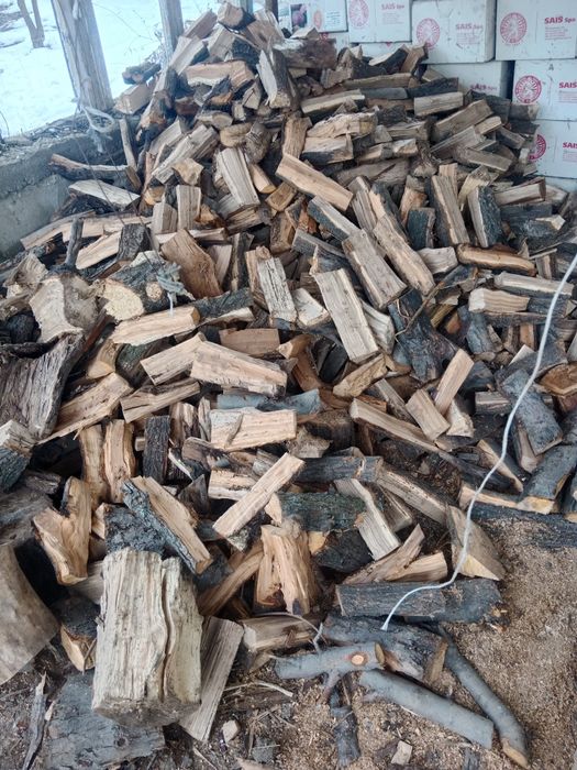 Дрова для шашлыка.