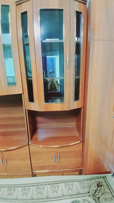 Jigarrang mebel 5 tasi birda