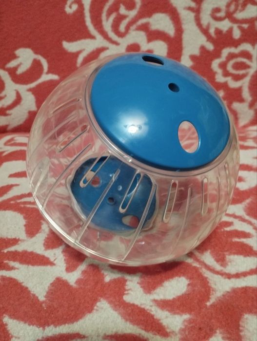 Шары прогулочные