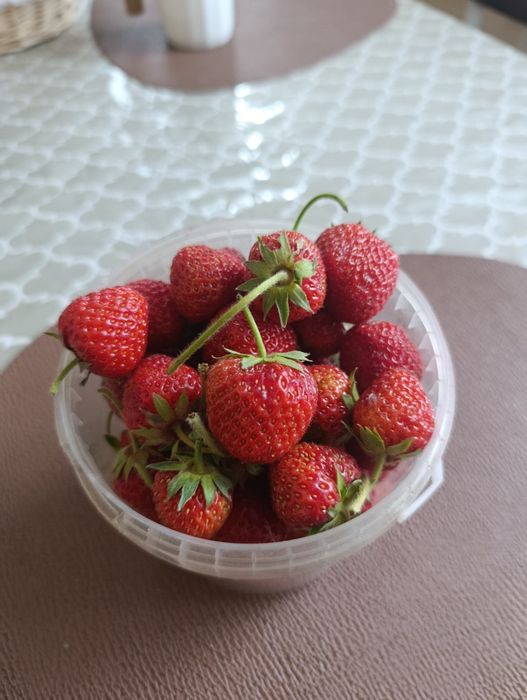 Продам клубнику.