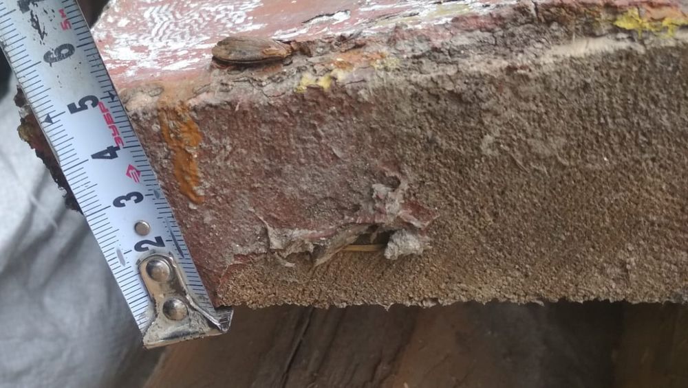 Ағаш агаш  лес дерево стропила стропила