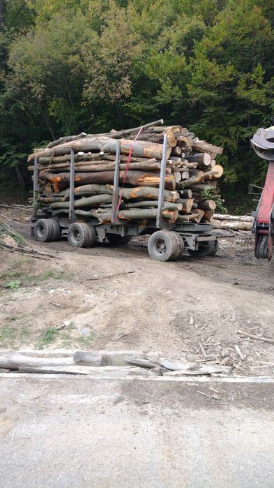 Vind lemne de foc fag carpen și ceroi la preț avantajos 1600camioneta