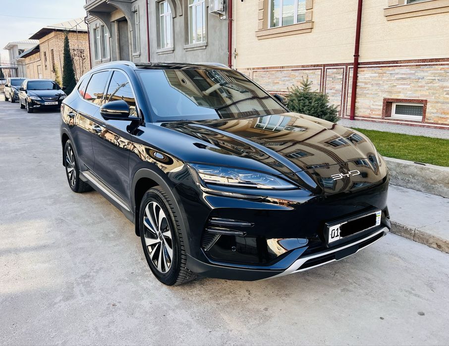 BYD chempion 605 tali Kraska Tozza 100%