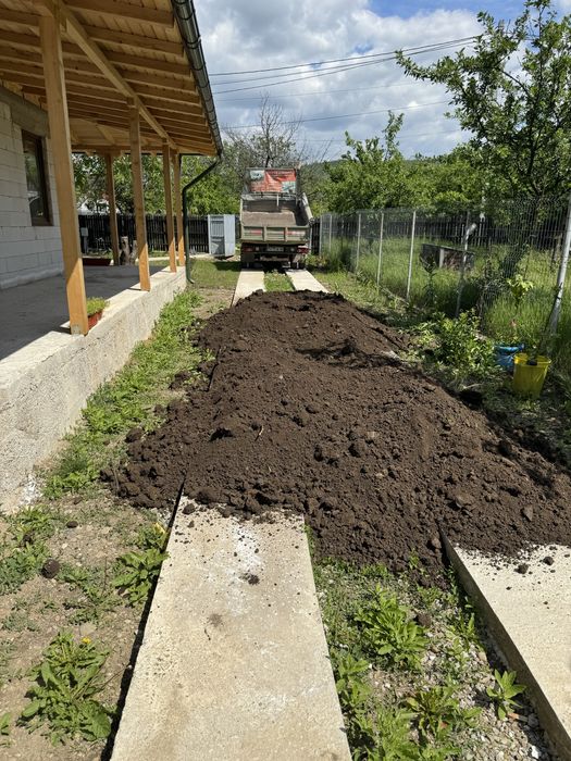 Calcar,nisip,pamant,pietris,amestec beton,piatra decorativa,ridic molu