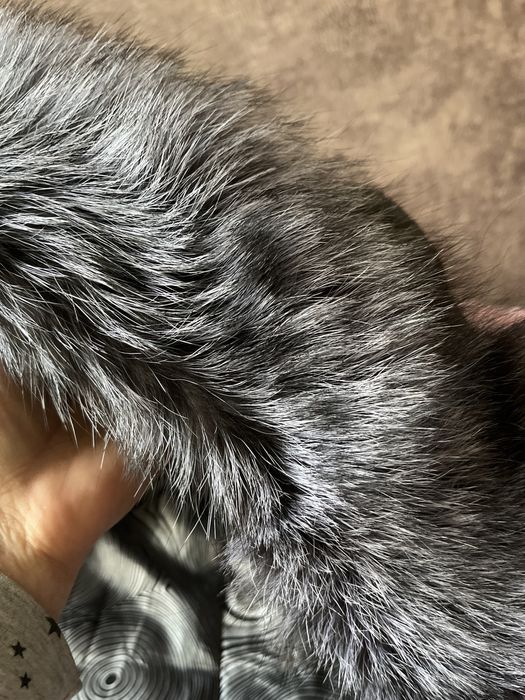 Продам куртку зимнюю