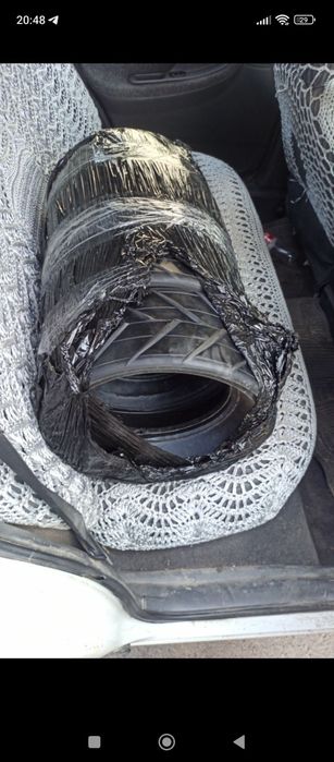 Даичи селка туркиа