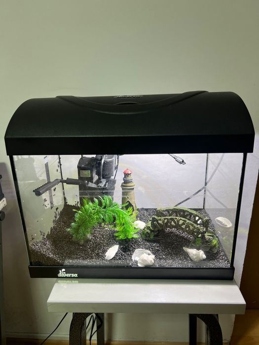 Vand acvariu cu accesorii