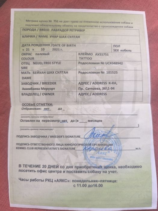 Королевский лаблодор