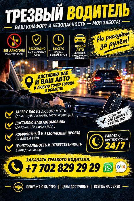 Трезвый водитель